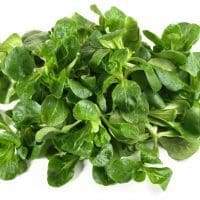 Feldsalat