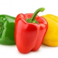 Paprika